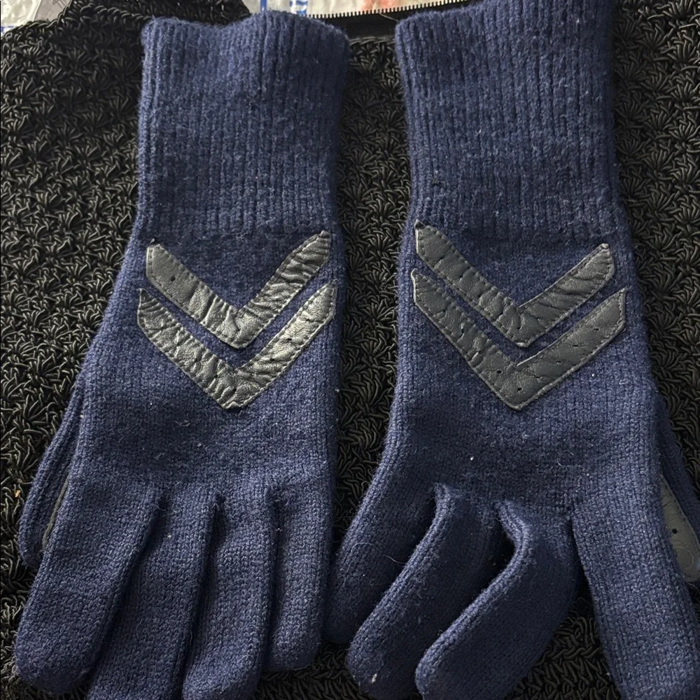 FINAL MARKDOWN Blue Chevron Knit Gloves